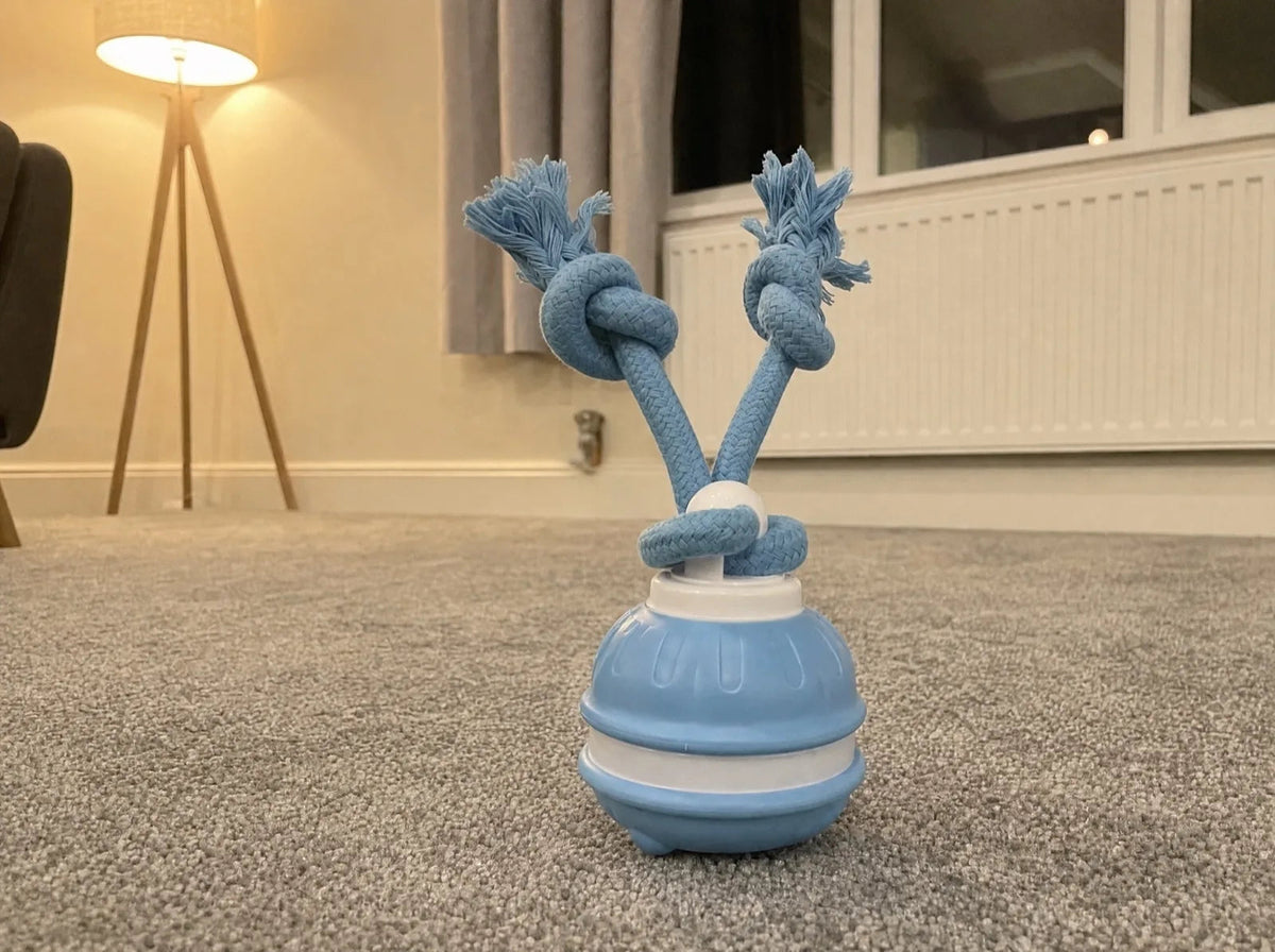 The blue Chase Buddy rope-tail toy at home