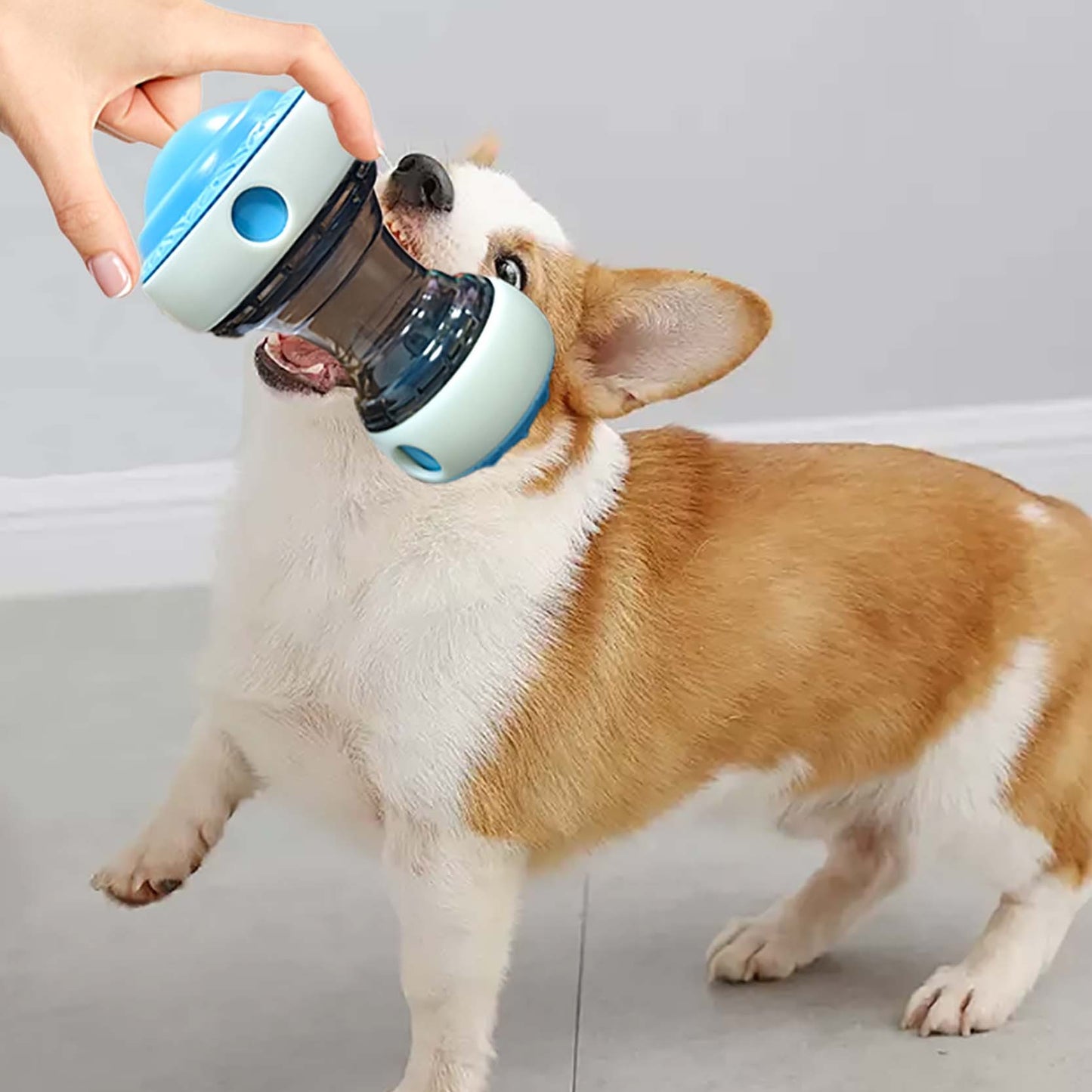 Interactive Rolling Treat Dispenser & Puzzle Toy for Dogs