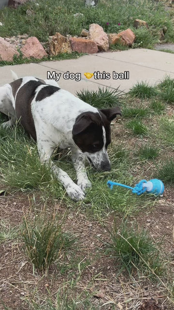 Out in the grass