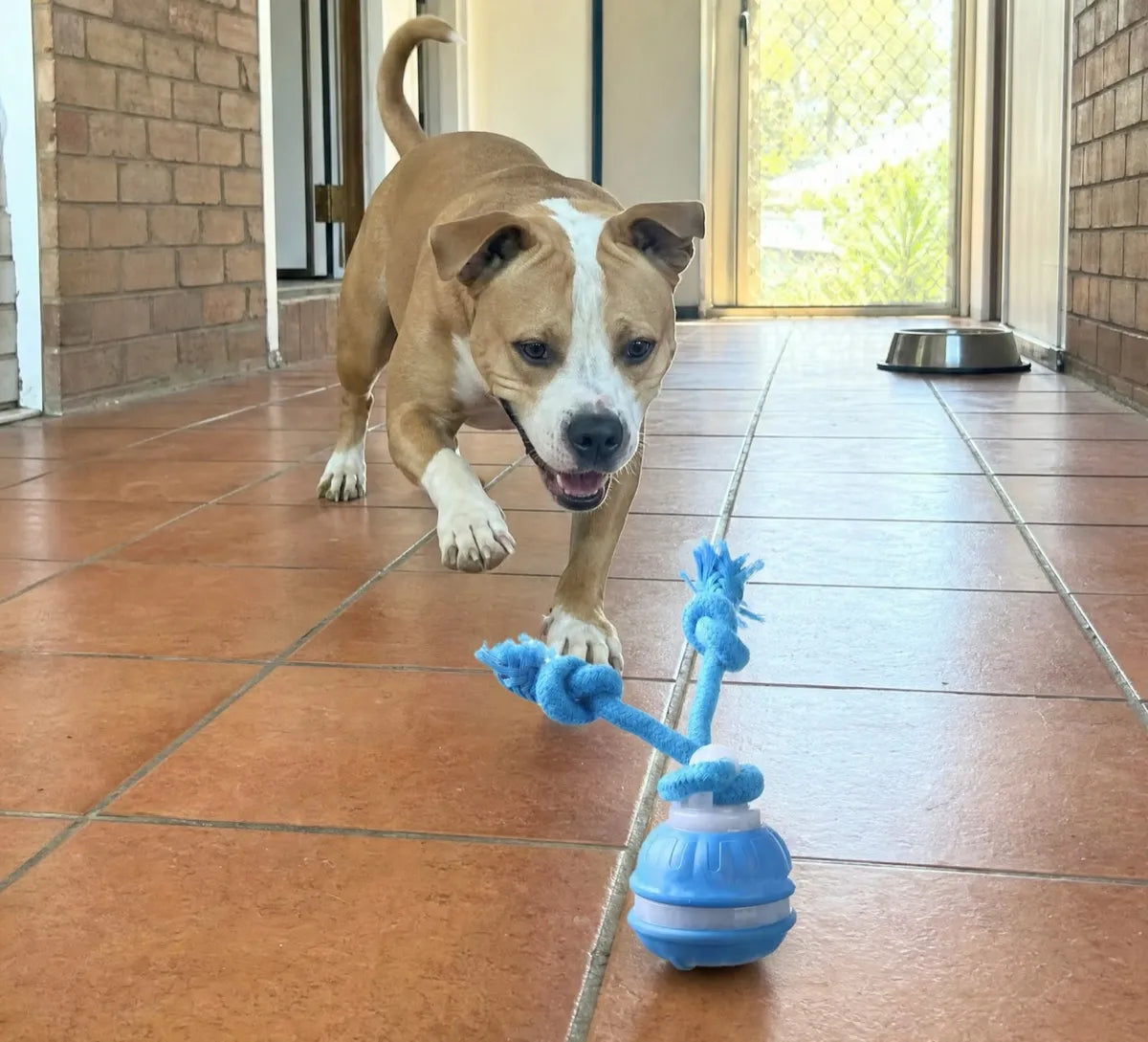 Choose a clear play area and supervise every session.