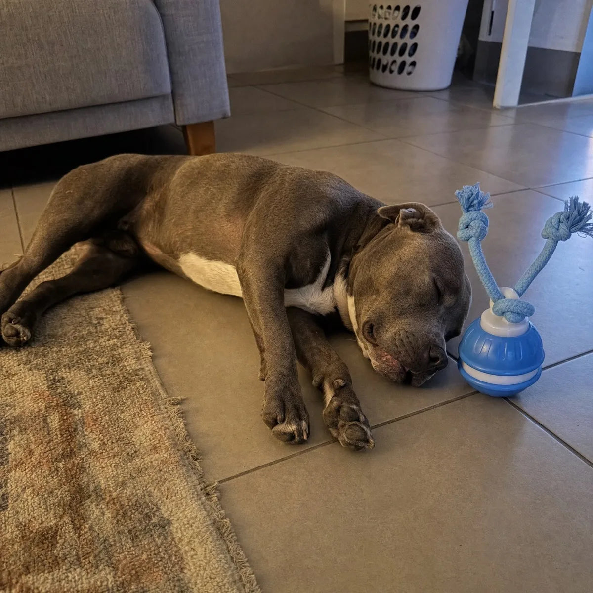 Make room for rest after every session.